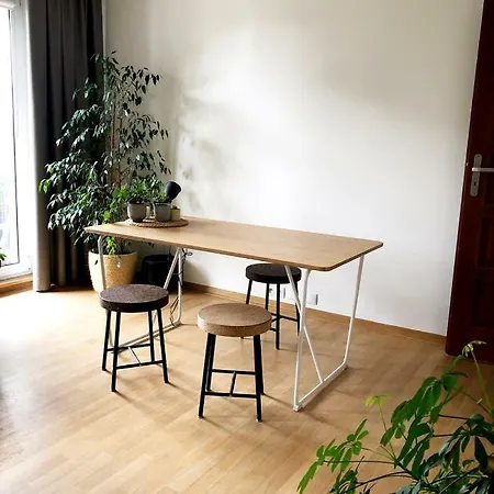 Apartament Miedzynarodowy