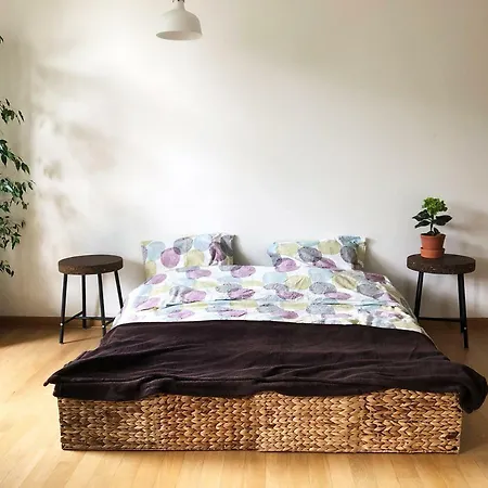 Apartament Miedzynarodowy
